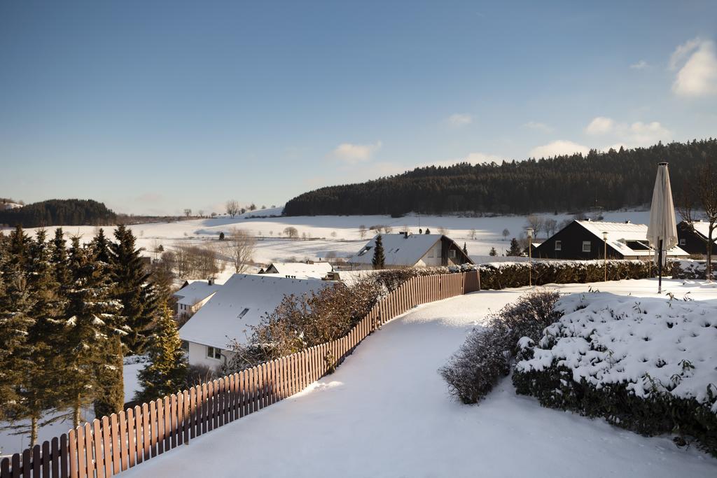 H+ Hotel Willingen Willingen  Bagian luar foto