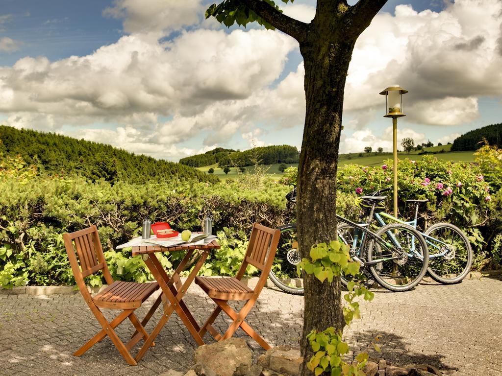 H+ Hotel Willingen Willingen  Bagian luar foto
