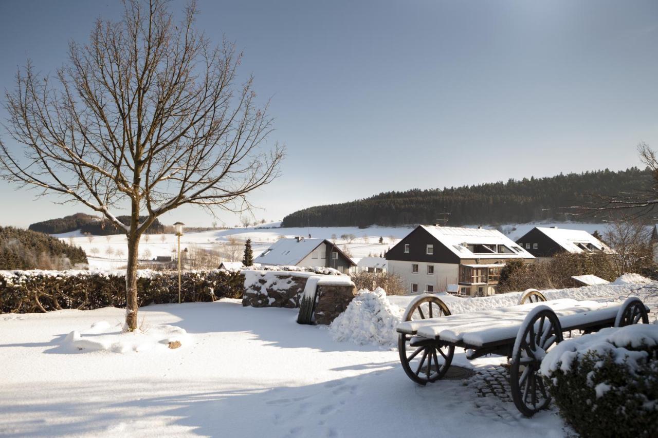 H+ Hotel Willingen Willingen  Bagian luar foto