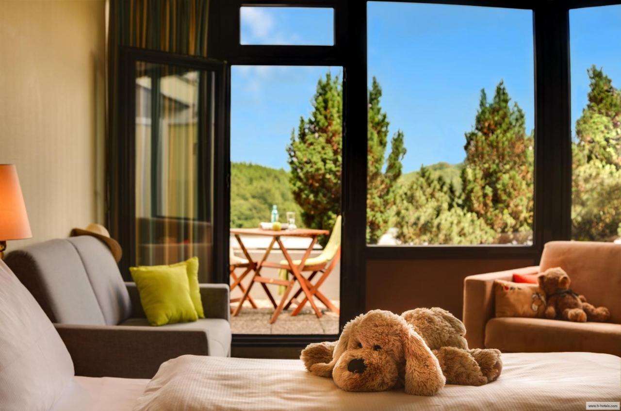 H+ Hotel Willingen Willingen  Bagian luar foto